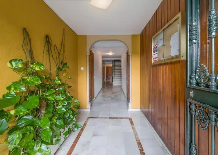 Iloftmalaga Urb. Bejar - Benalmadena